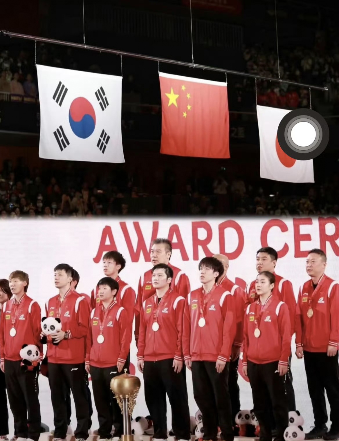 世界杯2024(足球世界杯2024)